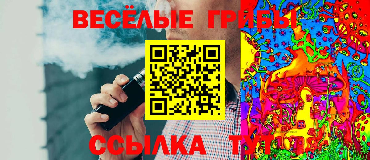 Галлюциногенные грибы Cubensis Шахты