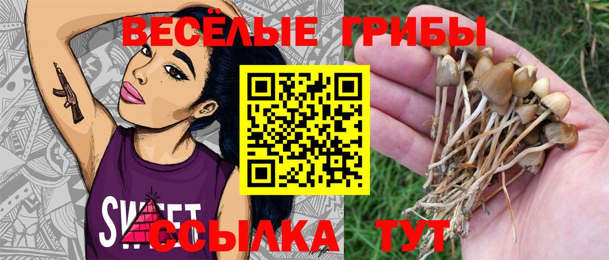 Шахты  Галлюциногенные грибы прущие грибы  Галлюциногенные грибы ЛСД  закладки  Вход с VPN 